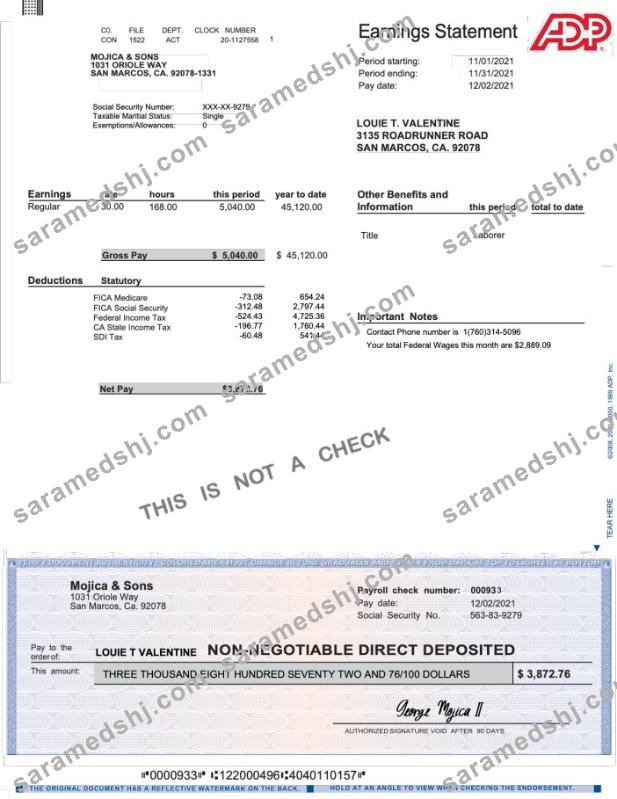 ADP earnings statement Word and PDF template
